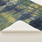 Bald Cypress Trees | Hoefijzer Lake Illinois Sherpa Deken (3/4)