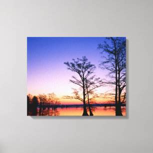 Bald Cypress Trees Nationaal wildreservaat, TN Canvas Afdruk