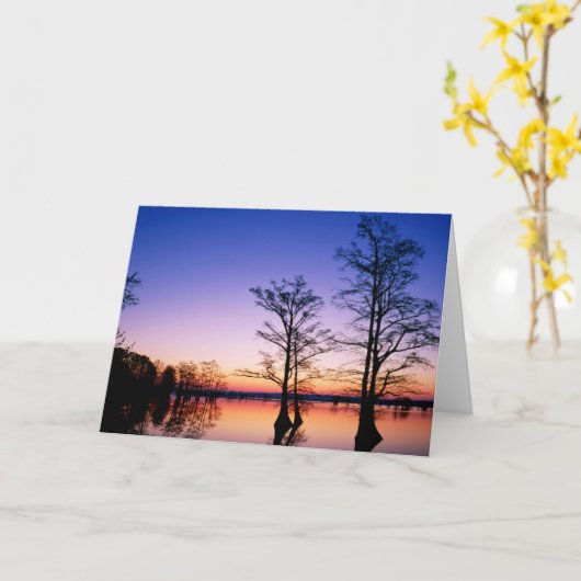 Bald Cypress Trees | Nationaal wildreservaat, TN Kaart (Gele Bloem)