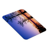 Bald Cypress Trees | Nationaal wildreservaat, TN Magneet (Rechterzijde)