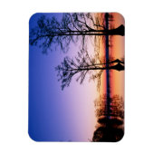 Bald Cypress Trees | Nationaal wildreservaat, TN Magneet (Verticaal)