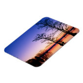 Bald Cypress Trees | Nationaal wildreservaat, TN Magneet (Linkerzijde)