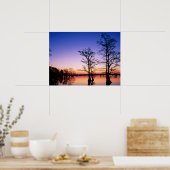 Bald Cypress Trees | Nationaal wildreservaat, TN Poster (Keuken)