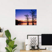 Bald Cypress Trees | Nationaal wildreservaat, TN Poster (Thuiskantoor)