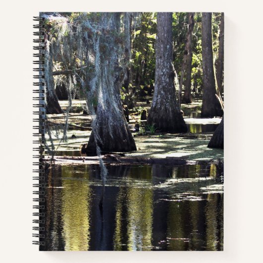 Bald Cypress Trees Notitieboek (Voorkant)