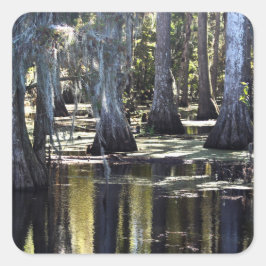 Bald Cypress Trees Vierkante Sticker