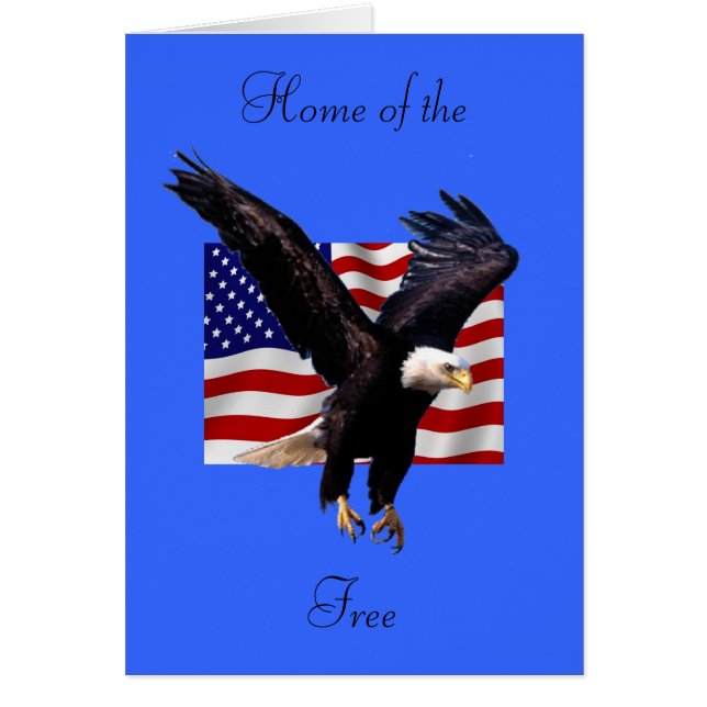 Bald Eagle (Voorkant)