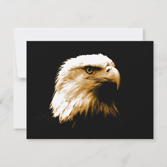 Bald Eagle (Voorkant)