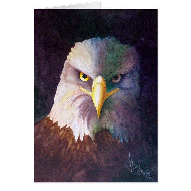 Bald Eagle (Voorkant)