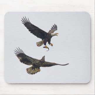 Bald Eagle 11 Mousepad Muismat