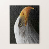 Bald Eagle 11x14 252pc jpa Legpuzzel (Verticaal)