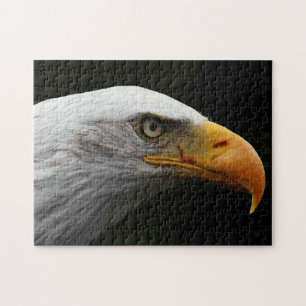 Bald Eagle 11x14 252pc jpcn Legpuzzel