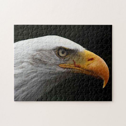 Bald Eagle 11x14 252pc jpcn Legpuzzel (Horizontaal)
