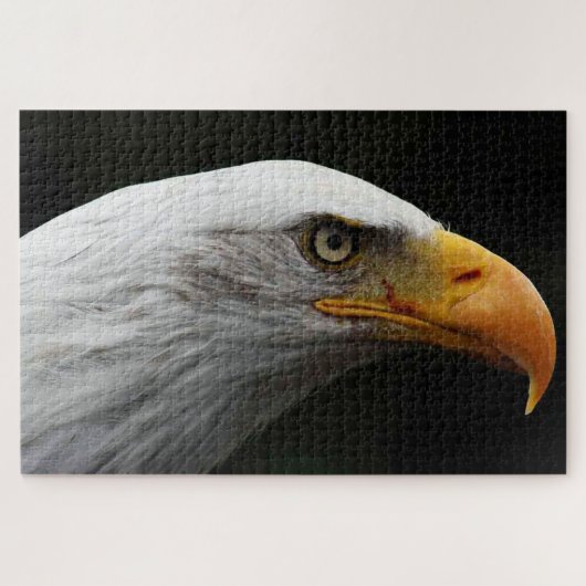 Bald Eagle 20x30 1014pc jpcn Legpuzzel (Horizontaal)