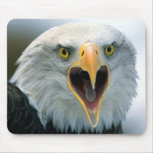 Bald Eagle #2-Mousepad Muismat