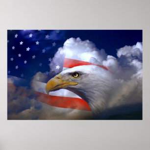Bald Eagle 4 juli poster 10