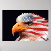 Bald Eagle 4 juli poster 13 (Voorkant)