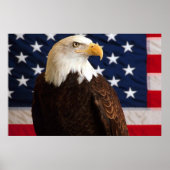 Bald Eagle 4 juli poster 14 (Voorkant)