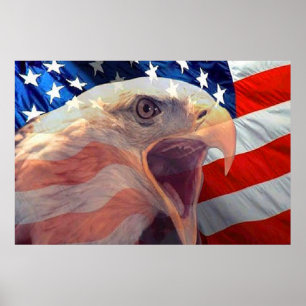 Bald Eagle 4 juli poster 4