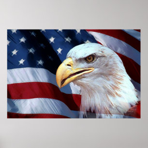 Bald Eagle 4 juli poster 9