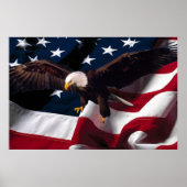 Bald Eagle 4th Of July poster 15 (Voorkant)