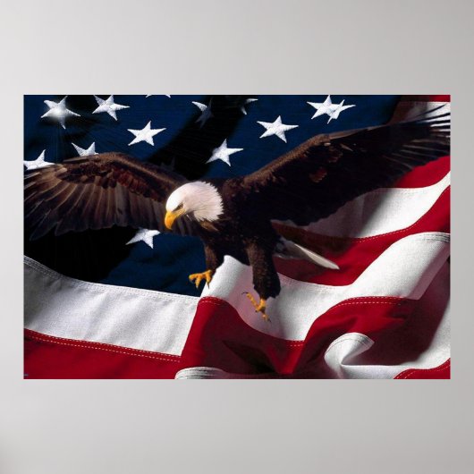 Bald Eagle 4th Of July poster 15 (Voorkant)