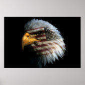 Bald Eagle 4th Of July poster 6 (Voorkant)