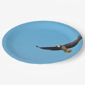 Bald Eagle 7 Papieren Bordje (Gekanteld)