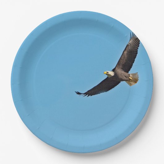 Bald Eagle 7 Papieren Bordje (Voorkant)
