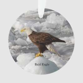 Bald Eagle acrylornamet Ornament