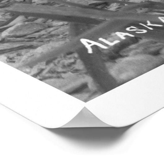 Bald Eagle Alaska 1920 Poster (Hoek)