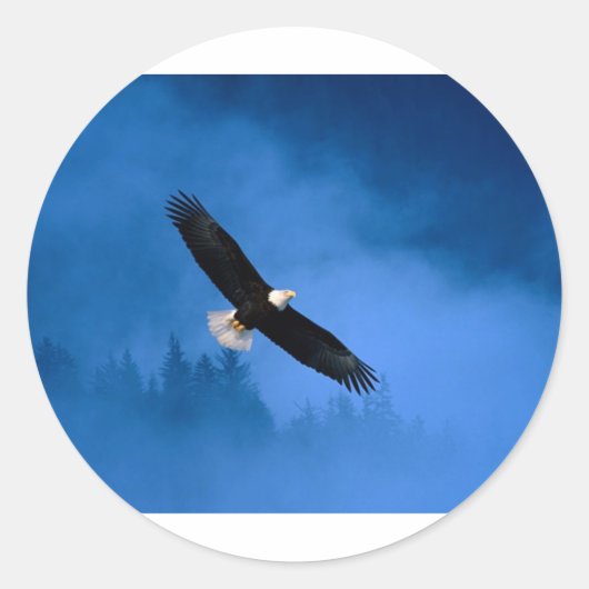 Bald-Eagle-Alaska Ronde Sticker (Voorkant)