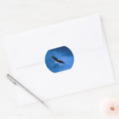 Bald-Eagle-Alaska Ronde Sticker (Envelop)