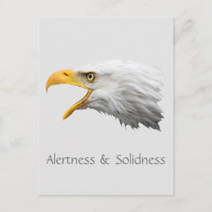 Bald Eagle Alertheid & Soliditeit aanpasbaar Briefkaart