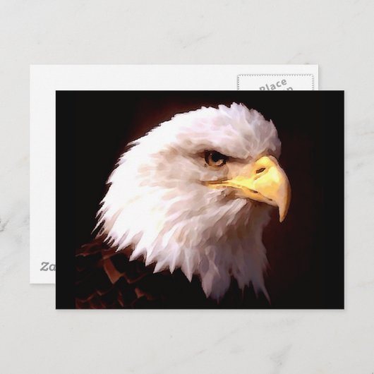 Bald Eagle American Eagle Briefkaart (Voorkant / Achterkant)