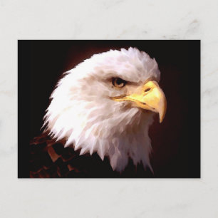 Bald Eagle American Eagle Briefkaart
