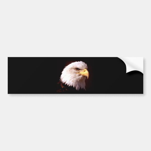 Bald Eagle American Eagle Bumpersticker (Voorkant)