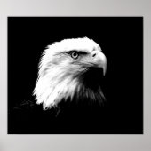 Bald Eagle American Eagle Poster Print (Voorkant)