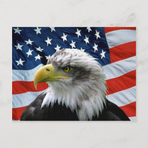 Bald Eagle American Flag Briefkaart