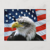 Bald Eagle American Flag Briefkaart (Voorkant)