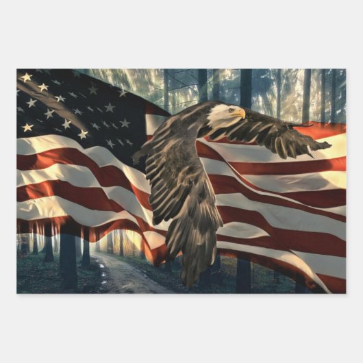 Bald Eagle American Flag Country Road Inpakpapier Vel (Voorkant)