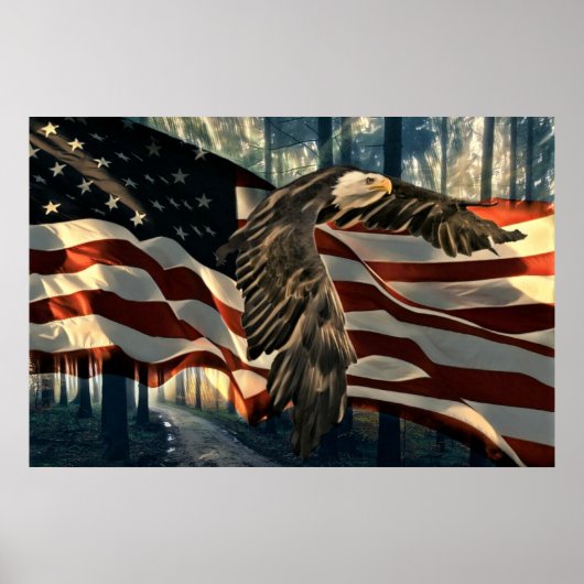 Bald Eagle American Flag Country Road Poster (Voorkant)