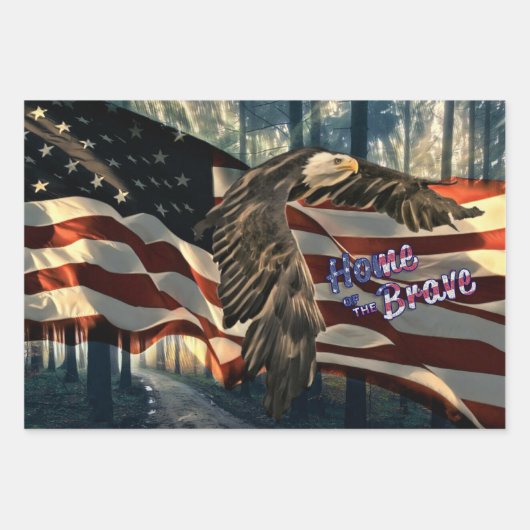 Bald Eagle American Flag Inpakpapier Vel (Voorkant)