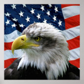Bald Eagle American Flag Print (Voorkant)