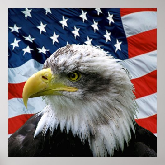 Bald Eagle American Flag Print (Voorkant)