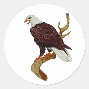 Bald Eagle American National Symbol Pride Sterkte Ronde Sticker