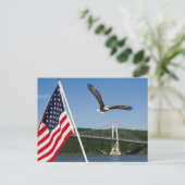 Bald Eagle (Amerikaanse trots) Briefkaart (Staand voorkant)