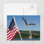 Bald Eagle (Amerikaanse trots) Briefkaart (Voorkant / Achterkant)
