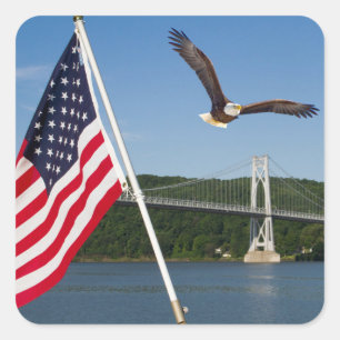 Bald Eagle (Amerikaanse trots) Vierkante Sticker