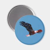 Bald Eagle Amerikaanse vlag magneet (Voorkant / Achterkant)